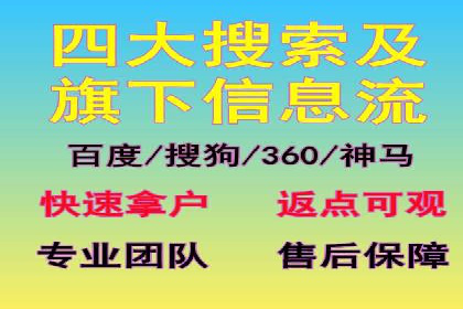 百度竞价代运营公司成功案例揭秘：策略与执行